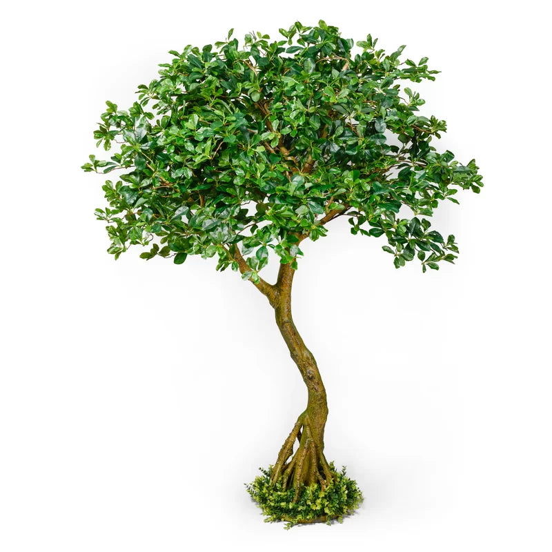 Árbol de hoja perenne de imitación de 75''