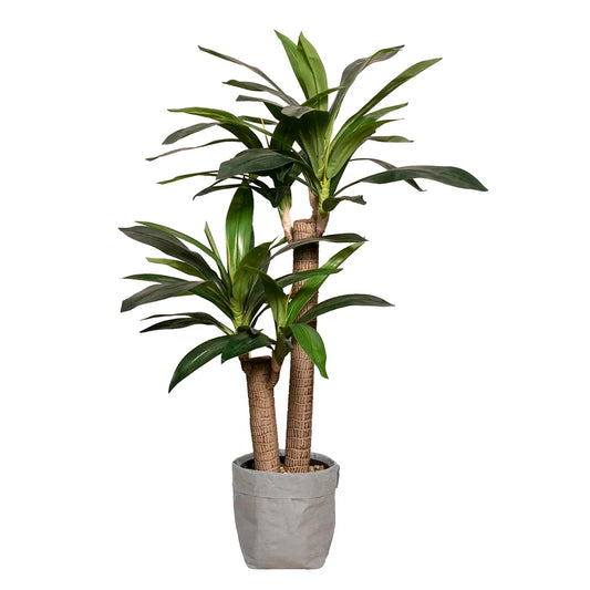 Planta Dracaena Artificial Panamá 45"